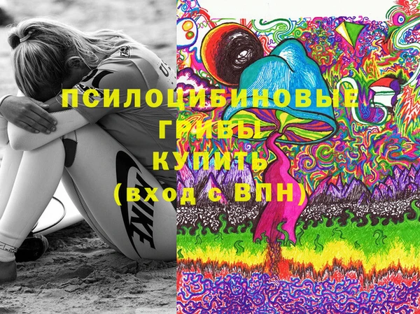 Альфа ПВП Бугульма