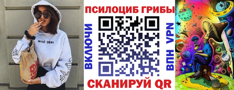 Галлюциногенные грибы Psilocybe Озёрск